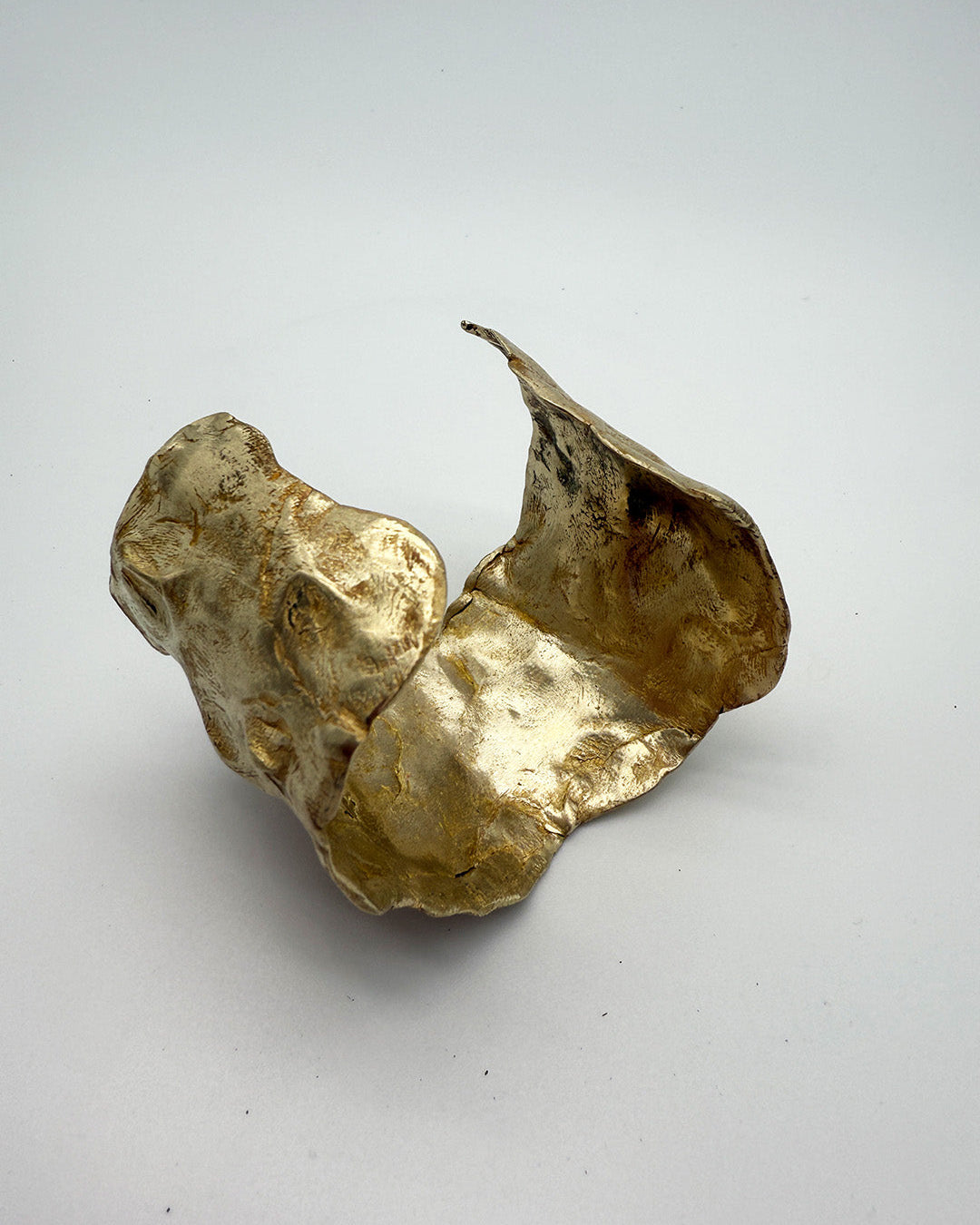 Gold-colored shell-like object on a white background