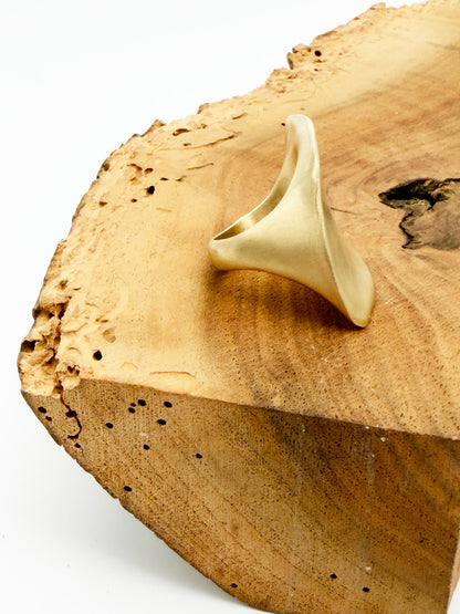 Beige ring on a wooden surface