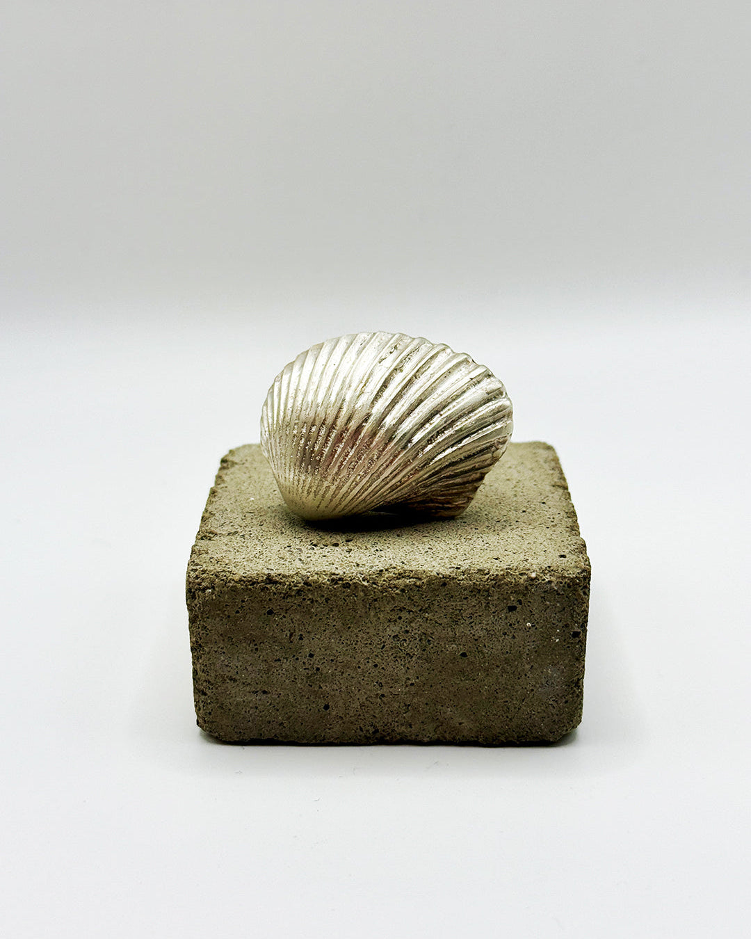 Silver shell on a square concrete block against a white background