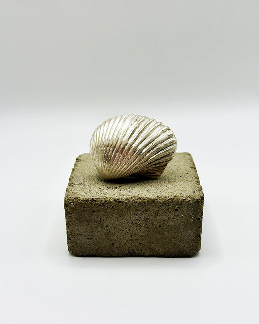 Silver shell on a square concrete block against a white background