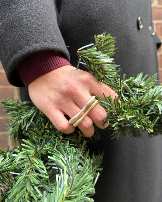 Person holding a green artificial Christmas wreath with a blurred background