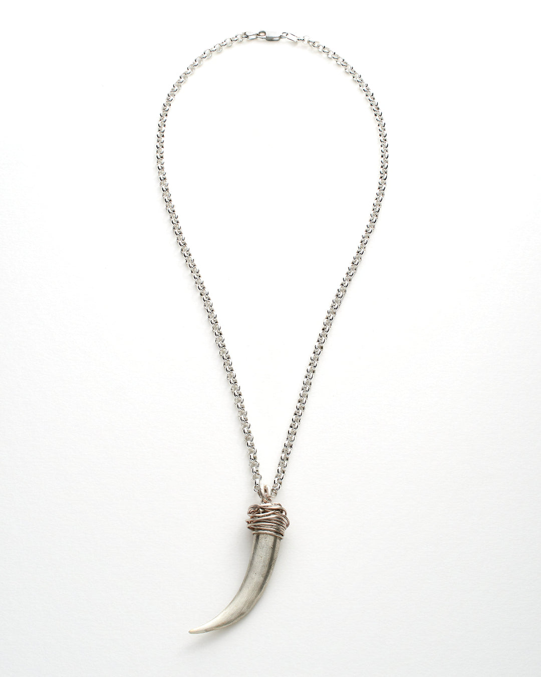Silver necklace with a horn shaped pendant on a white background
